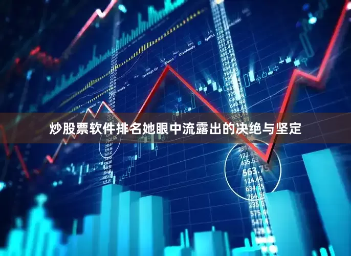 炒股票软件排名她眼中流露出的决绝与坚定