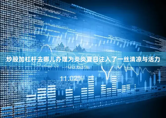 炒股加杠杆去哪儿办理为炎炎夏日注入了一丝清凉与活力